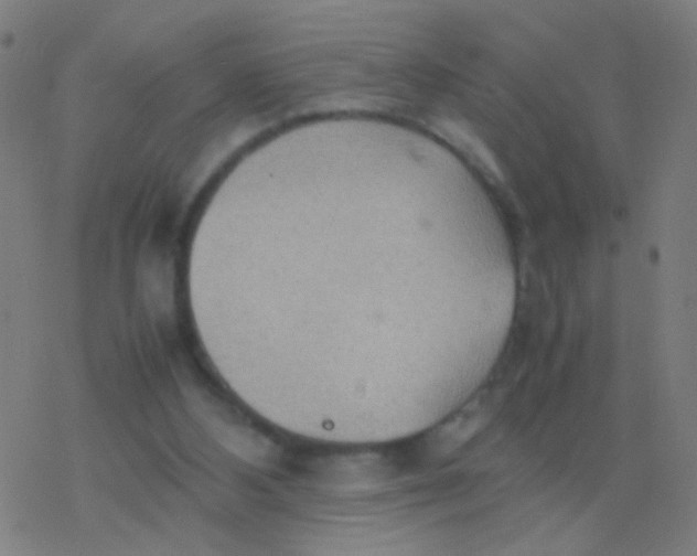 X0000077360108200611101649