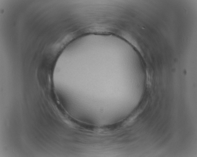 X0000077360109200611101649