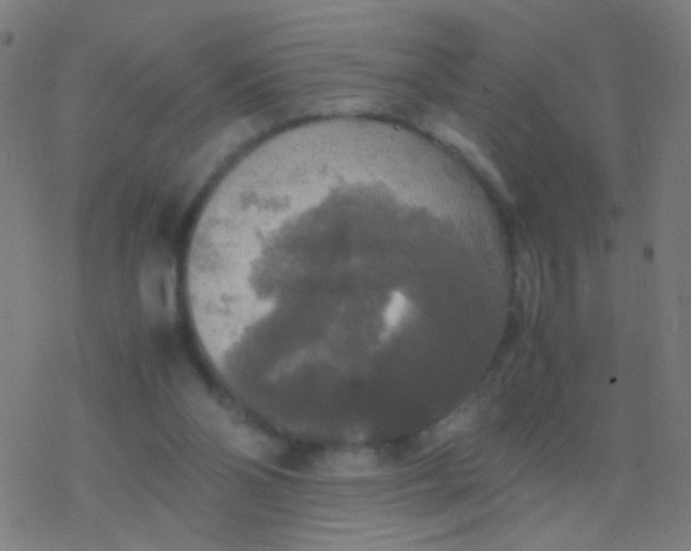 X0000077360110200611101649