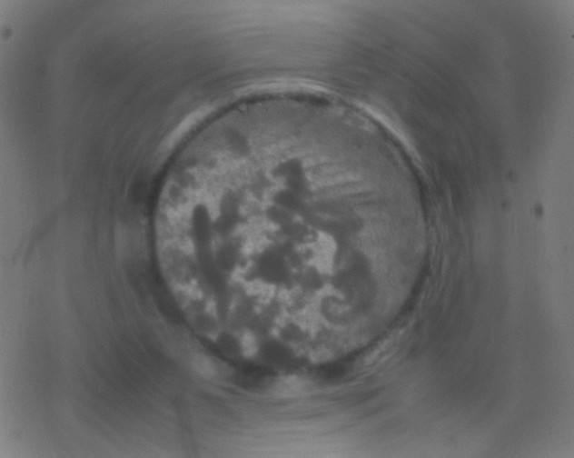 X0000077360111200611101649