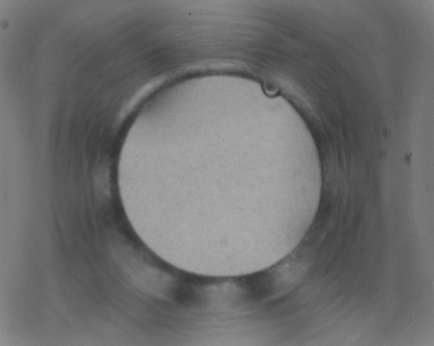 X0000077360112200611101649