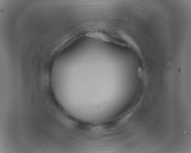 X0000077360113200611101649