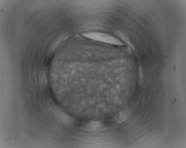 X0000077360114200611101649