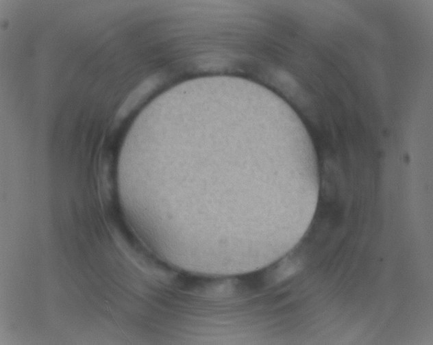 X0000077360116200611101649