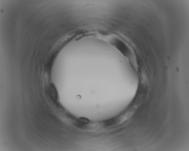 X0000077360117200611101649