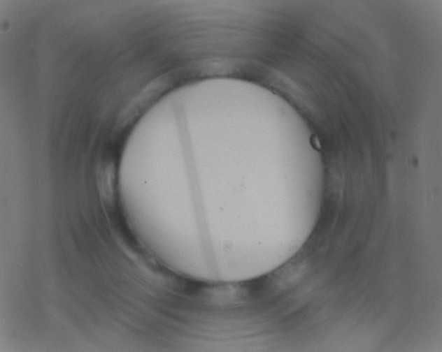 X0000077360118200611101649