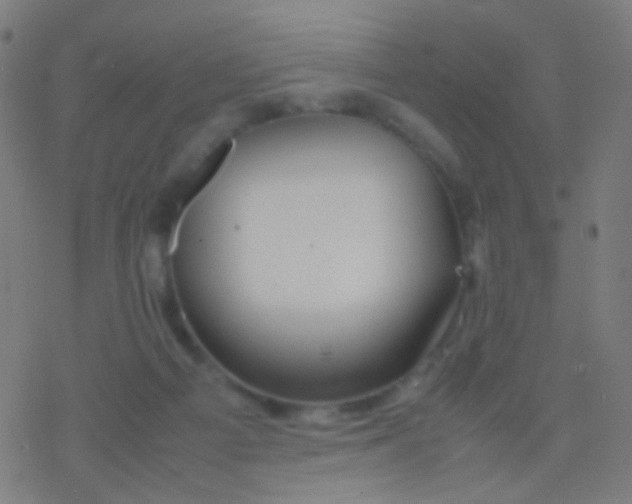 X0000077360121200611101649