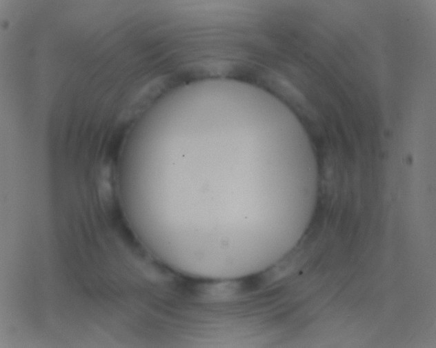 X0000077360122200611101649