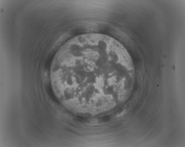 X0000077360123200611101649