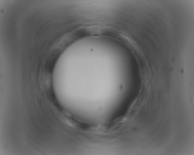 X0000077360125200611101649