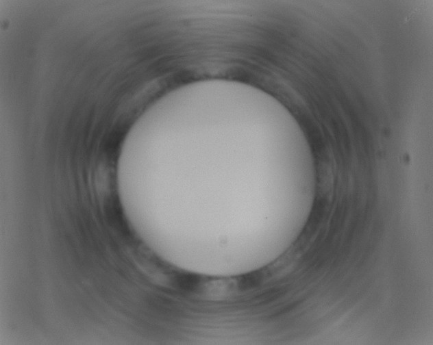 X0000077360126200611101649