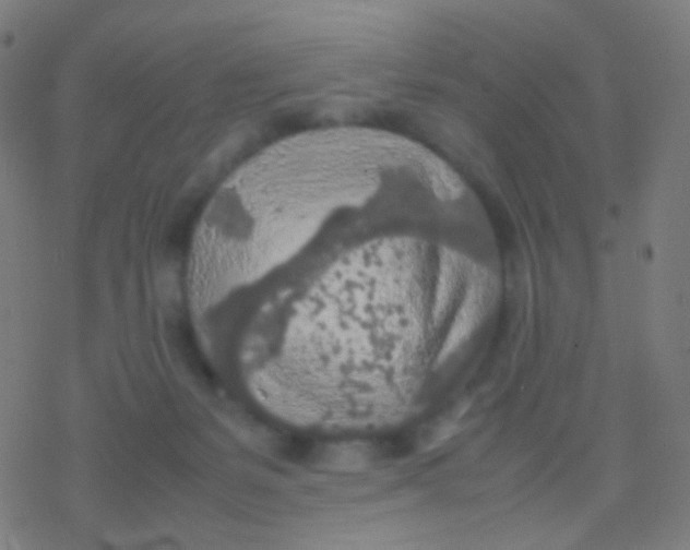 X0000077360127200611101649