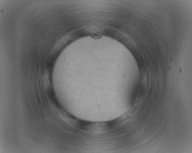 X0000077360128200611101649