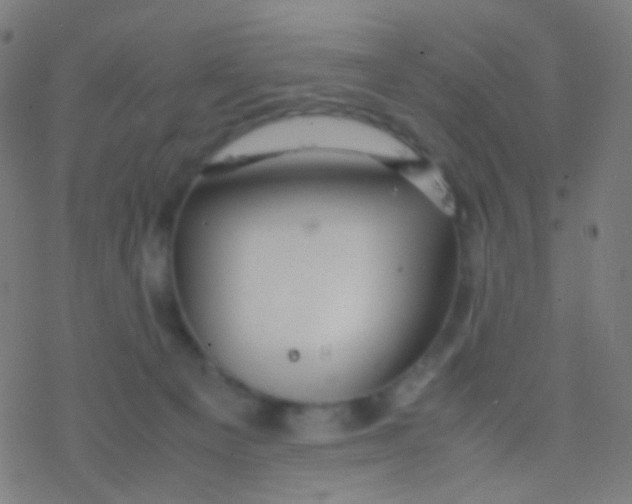 X0000077360129200611101649