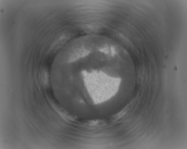 X0000077360130200611101649