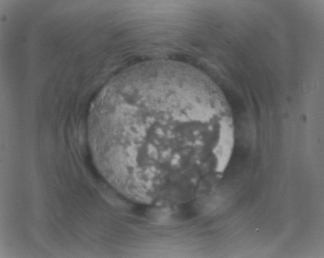 X0000077360131200611101649