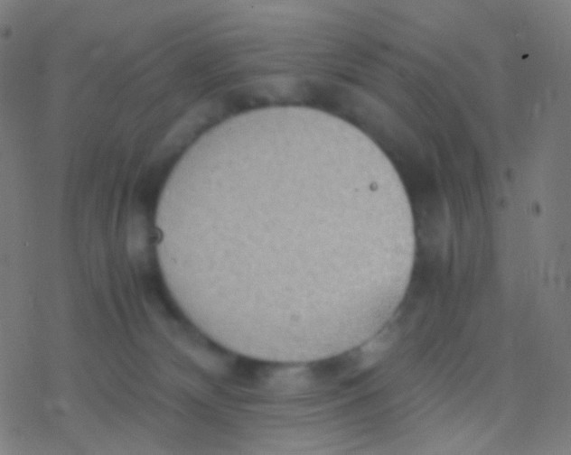 X0000077360132200611101648