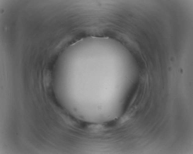 X0000077360133200611101648