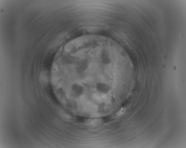 X0000077360135200611101648