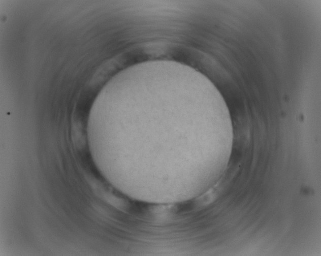 X0000077360136200611101648