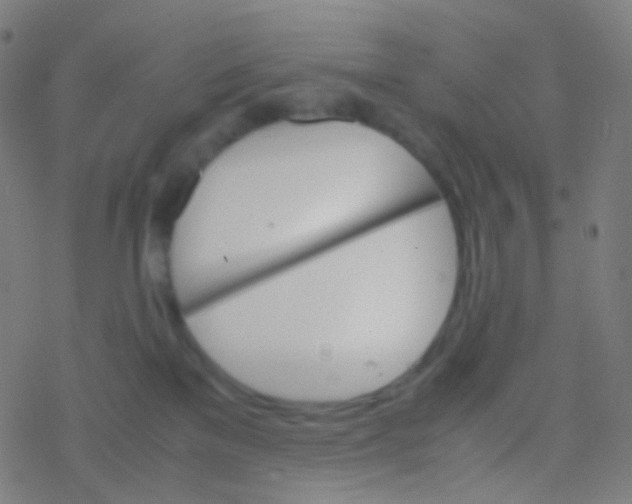 X0000077360137200611101648