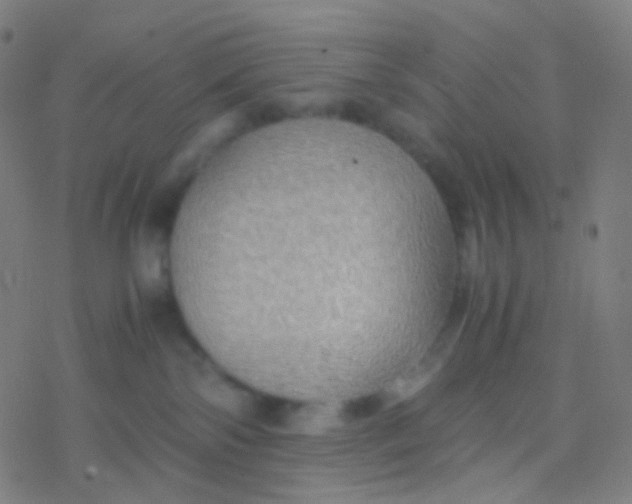 X0000077360138200611101648