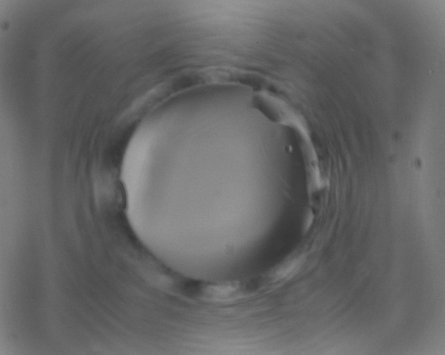 X0000077360139200611101648