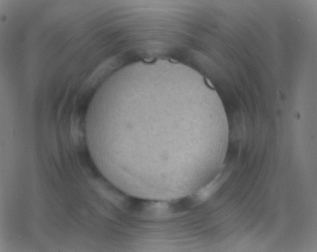 X0000077360140200611101648