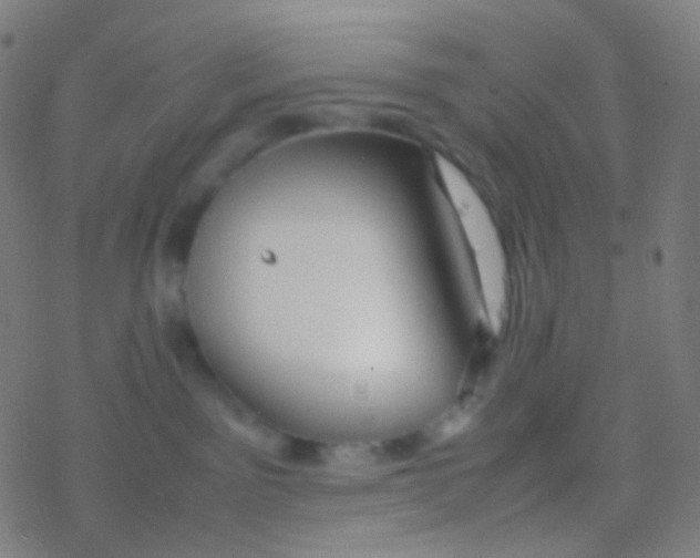 X0000077360141200611101648