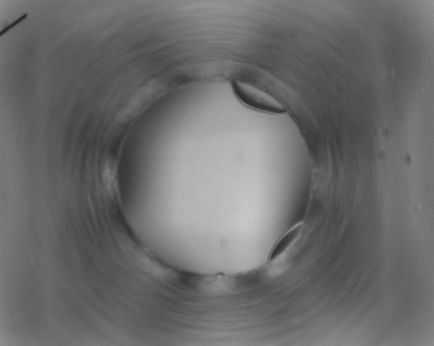 X0000077360142200611101648