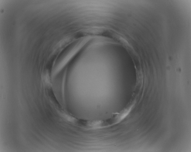 X0000077360143200611101648