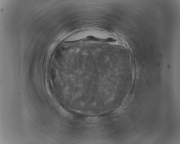 X0000077360145200611101648