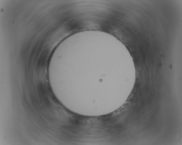 X0000077360146200611101648