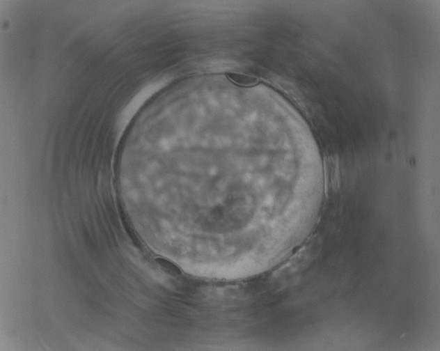 X0000077360147200611101648