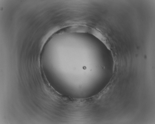 X0000077360148200611101648