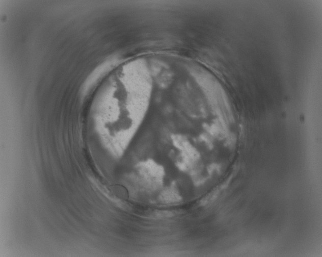 X0000077360149200611101648