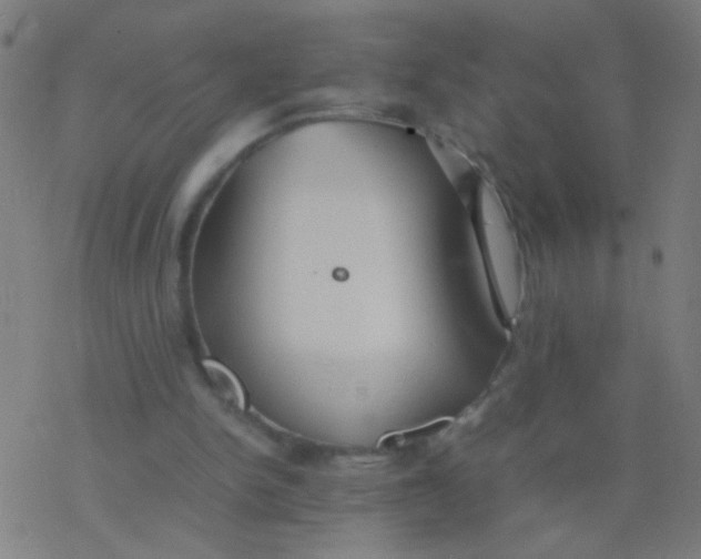 X0000077360150200611101648