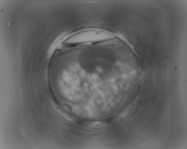 X0000077360151200611101648