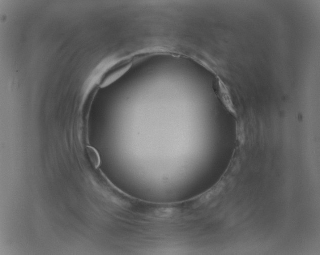 X0000077360152200611101648