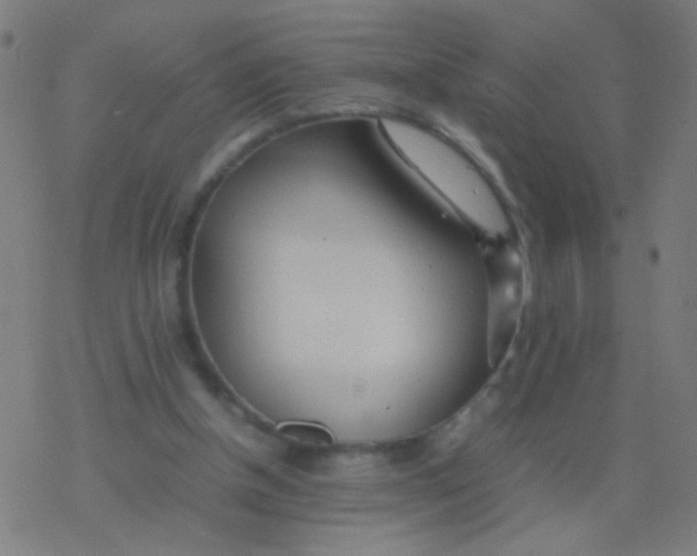 X0000077360154200611101648