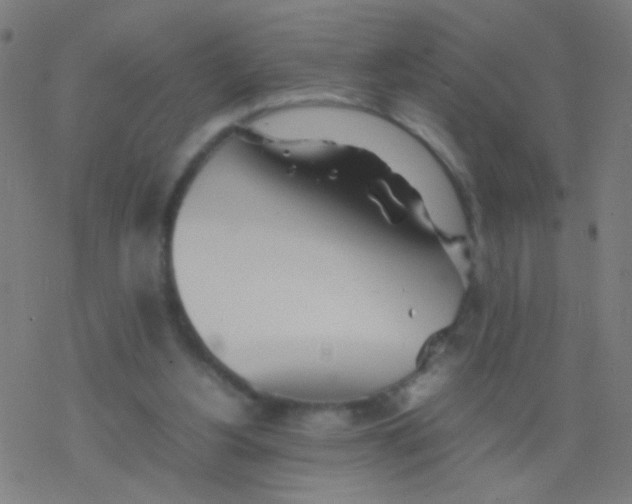 X0000077360156200611101648