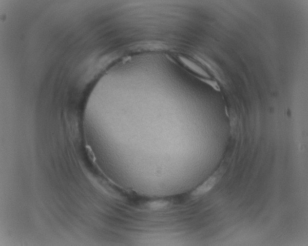 X0000077360158200611101648