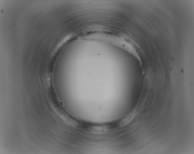 X0000077360160200611101648