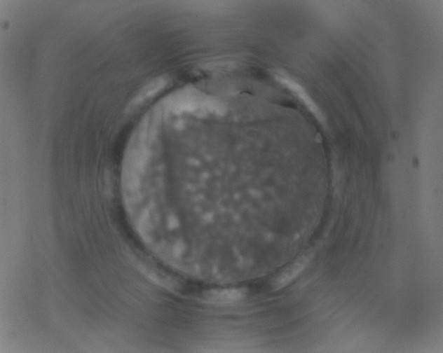 X0000077360161200611101648