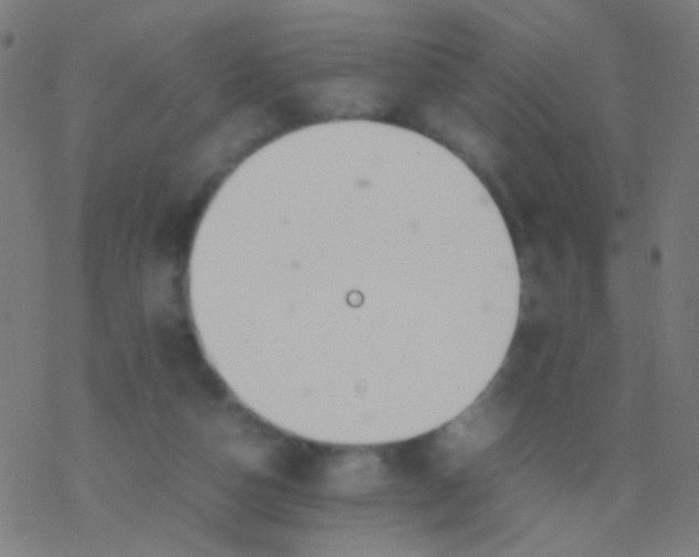 X0000077360162200611101648