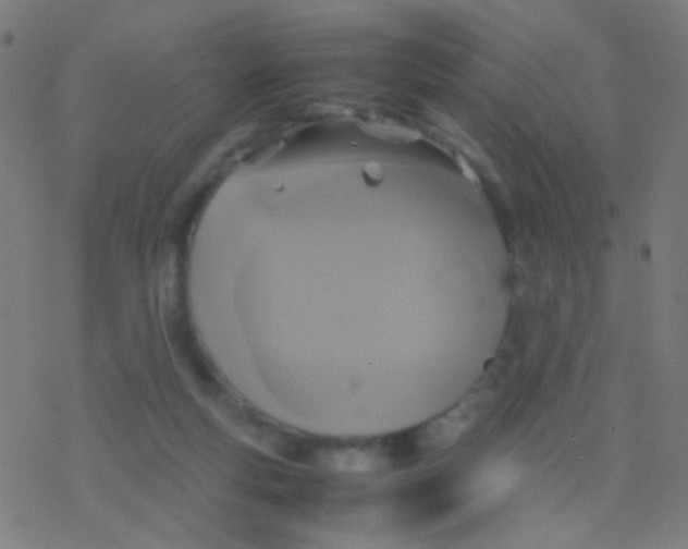 X0000077360163200611101648