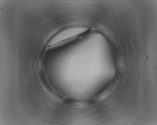 X0000077360164200611101648