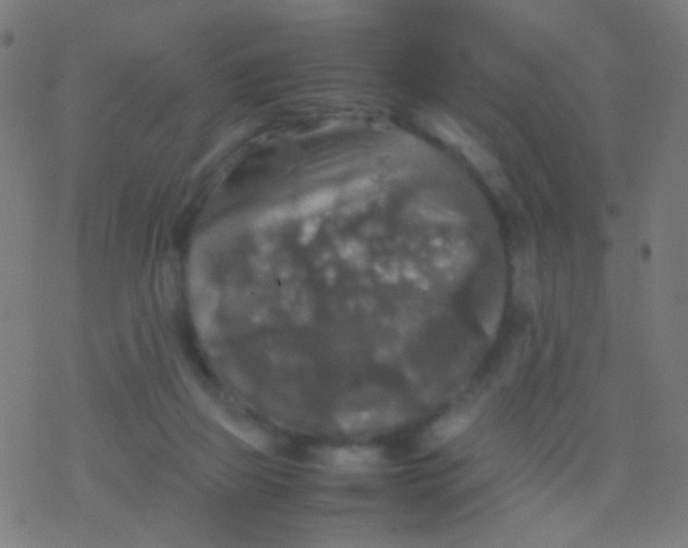 X0000077360165200611101648