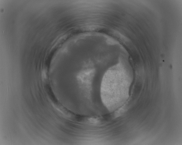 X0000077360166200611101648