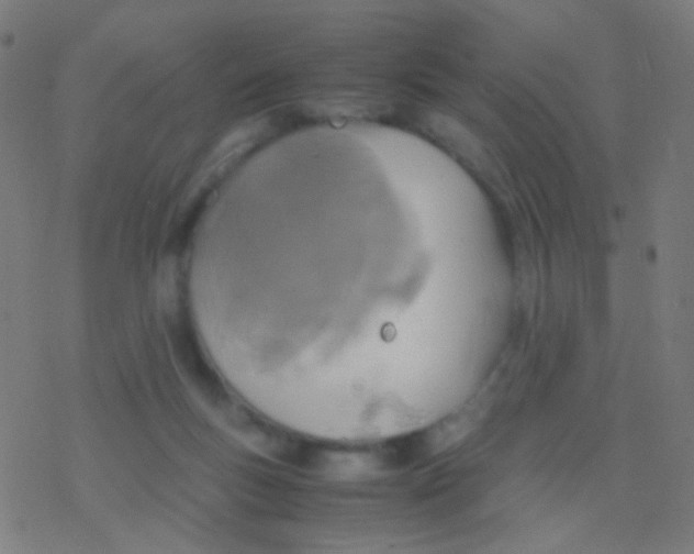 X0000077360167200611101648